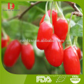 high quality ningxia organic goji berry jam/wolfberry jam